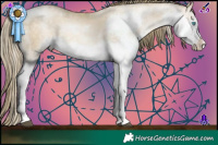Horse Color:White Spotted Brown Snowdrop Pearl Dun Splash Rabicano Brindle