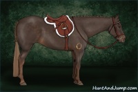 Horse Color:Liver Chestnut Rabicano