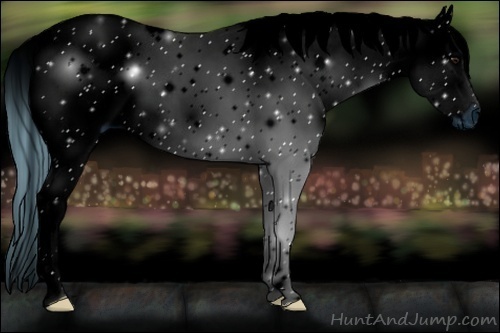 Horse Color:ERROR: UNKNOWN ANOMALY