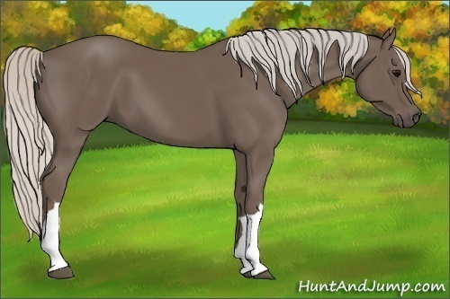 Horse Color:Silver Black 