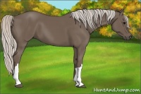 Horse Color:Silver Black 