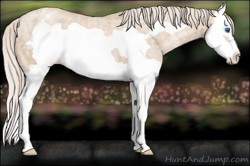 Horse Color:Palomino Ice Pearl Splash Frame Varnish 