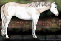 Horse Color:Palomino Ice Pearl Splash Frame Varnish 