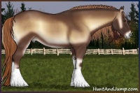 Horse Color:Red Onyx