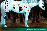 Horse Color:Thunderstruck White Spotted Liver Chestnut Pearl Tobiano Frame Varnish Rabicano and Thunderstruck White Spotted Chocolate Brown Frame Snowcap Rabicano