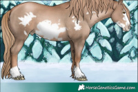 Horse Color:Liver Chestnut Pearl Frame 