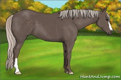Horse Color:Silver Black 
