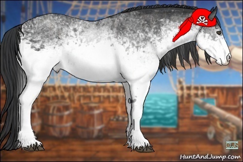 Horse Color:White Spotted Blue Roan Rabicano Brindle