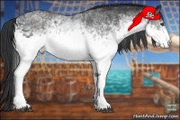 Horse Color:White Spotted Blue Roan Rabicano  Brindle