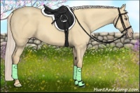 Horse Color:Gold Cream Champagne Dun 