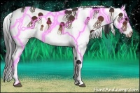 Horse Color:Bay Splash 