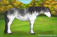 Horse Color:White Spotted Blue Roan Rabicano  Brindle