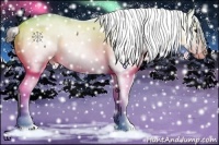 Horse Color:Bay Roan Sabino Appaloosa 