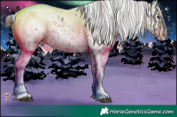 Horse Color:Bay Roan Sabino Snowcap 