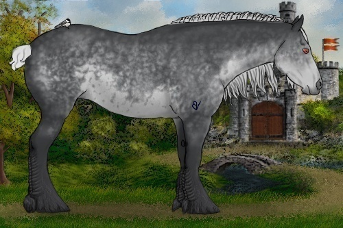 Horse Color:Silver Black Chinchilla