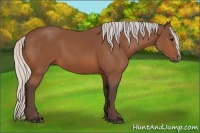 Horse Color:Silver Bay 