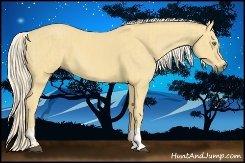 Horse Color:Palomino  and Palomino 