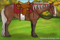 Horse Color:White Spotted Silver Bay Splash Frame
