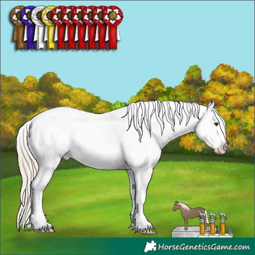 Horse Color:Chocolate Palomino Mushroom Varnish 