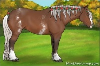 Horse Color:White Spotted Silver Bay Splash 