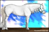 Horse Color:White Spotted Liver Chestnut Pearl Snowcap