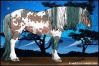 Horse Color:Watercolor White Spotted Bay 