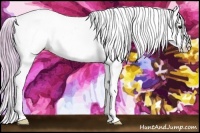 Horse Color:Watercolor Buckskin Splash Tobiano Appaloosa 