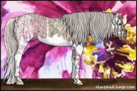 Horse Color:Silver Bay Ice Sabino Splash