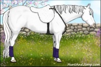 Horse Color:White Spotted Silver Buckskin Pearl Frame Appaloosa Rabicano