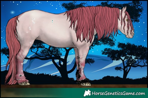 Horse Color:Gray Watercolor White Spotted Gold Champagne Dun Rabicano