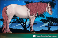 Horse Color:Gray Watercolor White Spotted Gold Champagne Dun Rabicano 