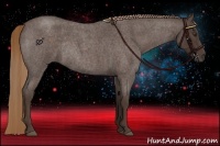 Horse Color:Liver Red Roan Rabicano