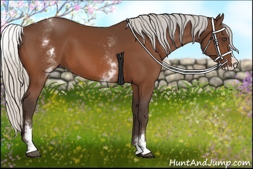 Horse Color:White Spotted Silver Bay Splash