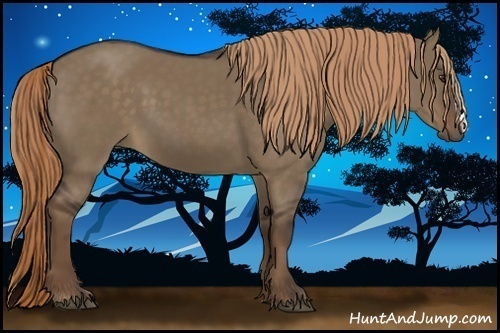 Horse Color:Liver Red Dun