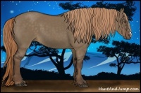 Horse Color:Liver Red Dun