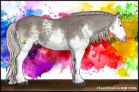 Horse Color:White Spotted Silver Black Splash