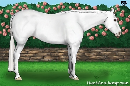 Horse Color:Chocolate Palomino Blanket