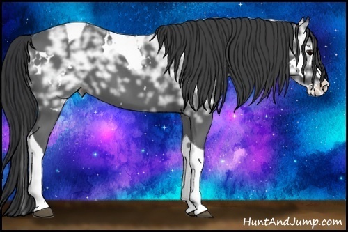 Horse Color:White Spotted Black Ice Splash Tobiano Rabicano 