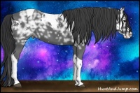 Horse Color:White Spotted Black Ice Splash Tobiano Rabicano