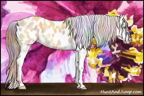 Horse Color:Nacre Gold Champagne Dun Appaloosa Rabicano