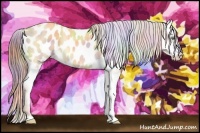 Horse Color:Nacre Gold Champagne Dun Blanket Rabicano 