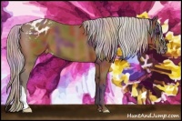 Horse Color:Nacre Silver Bay Varnish