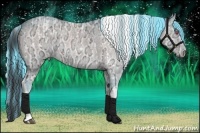 Horse Color:Bay Chinchilla Ice Onyx Tobiano  and Painted Watercolor Bay Chinchilla Ice Onyx Tobiano 