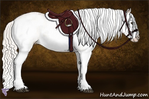 Horse Color:White Spotted Silver Bay Splash 