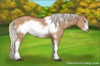 Horse Color:Silver Bay Dun Sabino Tobiano Frame Rabicano 