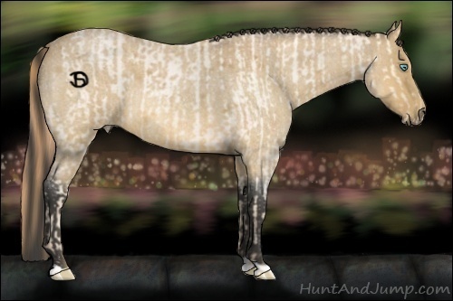 Horse Color:Buckskin Roan Pearl  and Buckskin Roan 