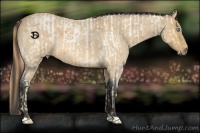 Horse Color:Buckskin Roan Pearl and Buckskin Roan