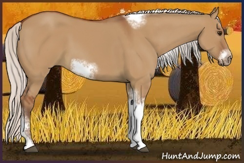 Horse Color:Silver Bay Dun Sabino Tobiano Frame Rabicano 