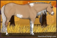 Horse Color:Silver Bay Dun Sabino Tobiano Frame Rabicano