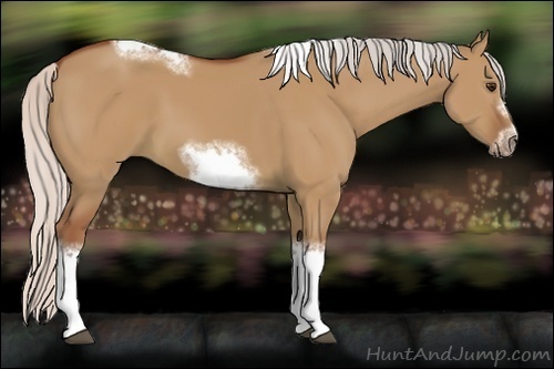 Horse Color:Silver Bay Dun Sabino Tobiano Frame Rabicano 